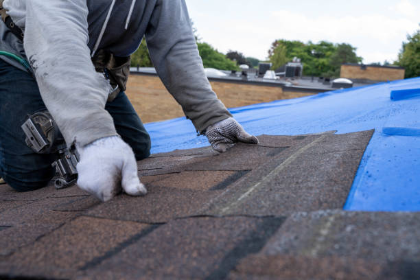 Best Roof Restoration Services  in Ller, WA